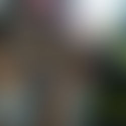 Sportovní příměstský tábor Praha 2019