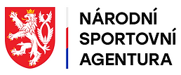 NSA logo.png