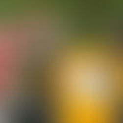 Praga v den oslav zdolala Dragon