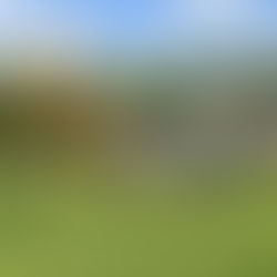 Praga letos pouze o bronz