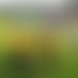 Osmiletí dobyli Rakovník!