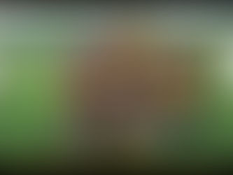 Kategorie U10 stříbrná