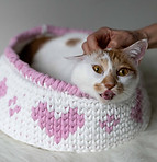 ABOUT_Pusheen.jpg