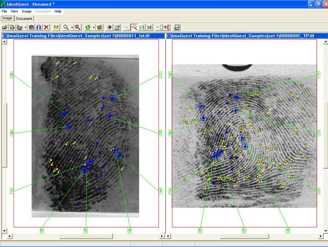 latent fingerprint enhancement system software