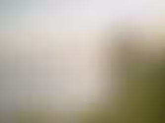 CALICO Helps Woman with Disabilities Achieve Justice