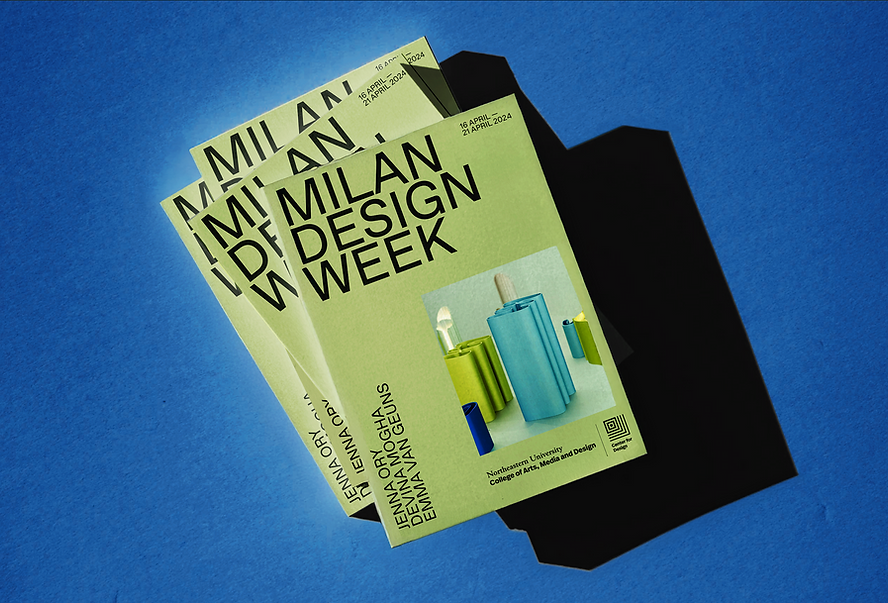 Screenshot 2024-11-19 at 12.08.32 AM.png