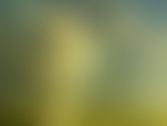 Where do ideas come from? 