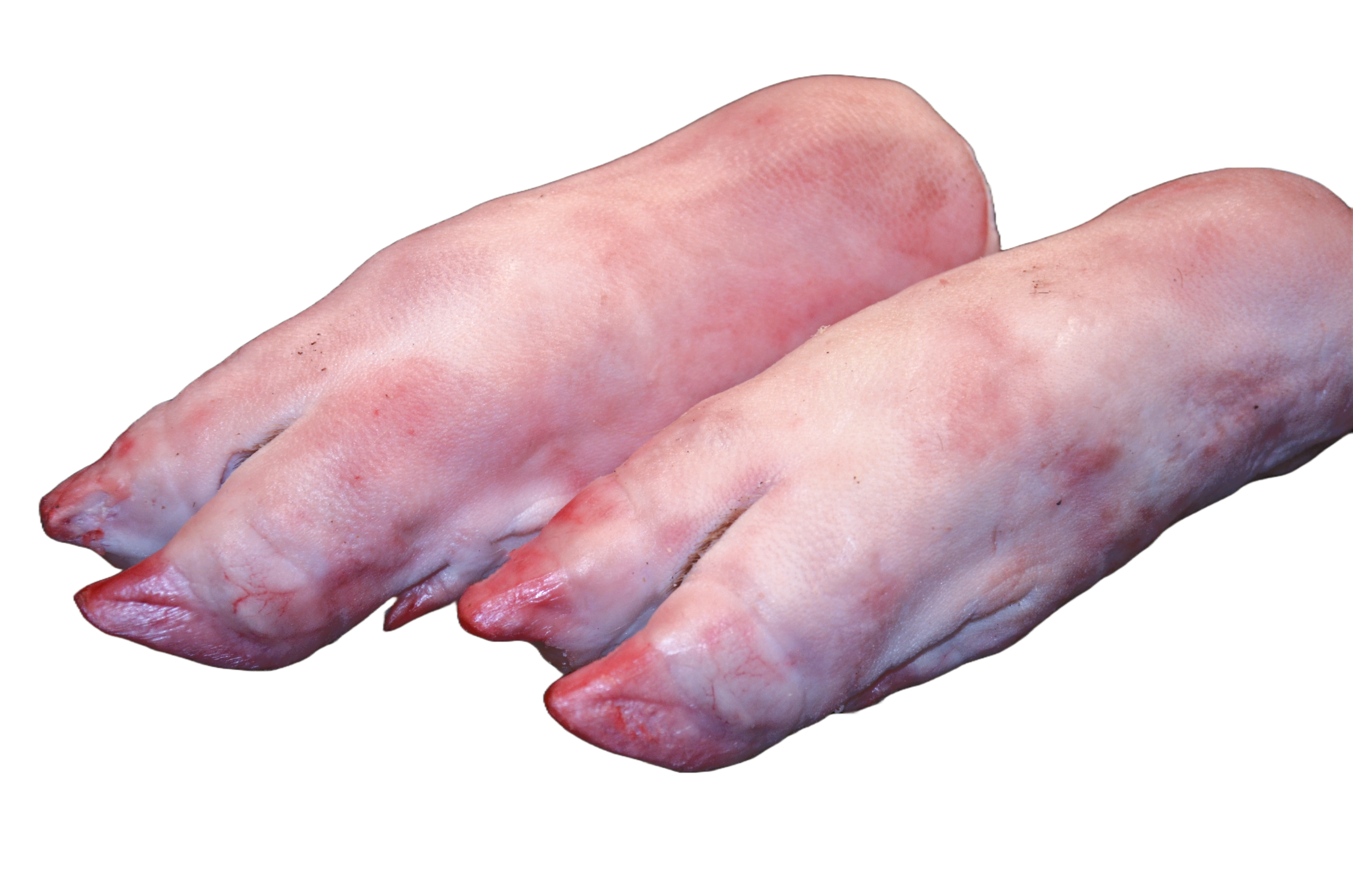 141. Sertés első köröm