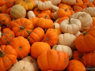 Feed Your Face With Pumpkin Pie!