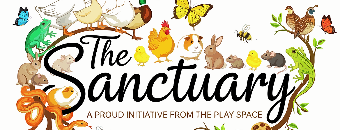 The Sanctuary PNG.png