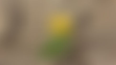 Le bilan de compétences, une solution ou pas ?