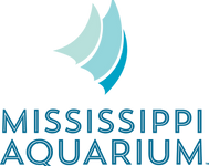 msaq_logo_stacked_color_blue_text_937E542F-48ED-4C8C-86A0AE0C5BD87BA3_4bcbd17d-33f8-4ca2-8