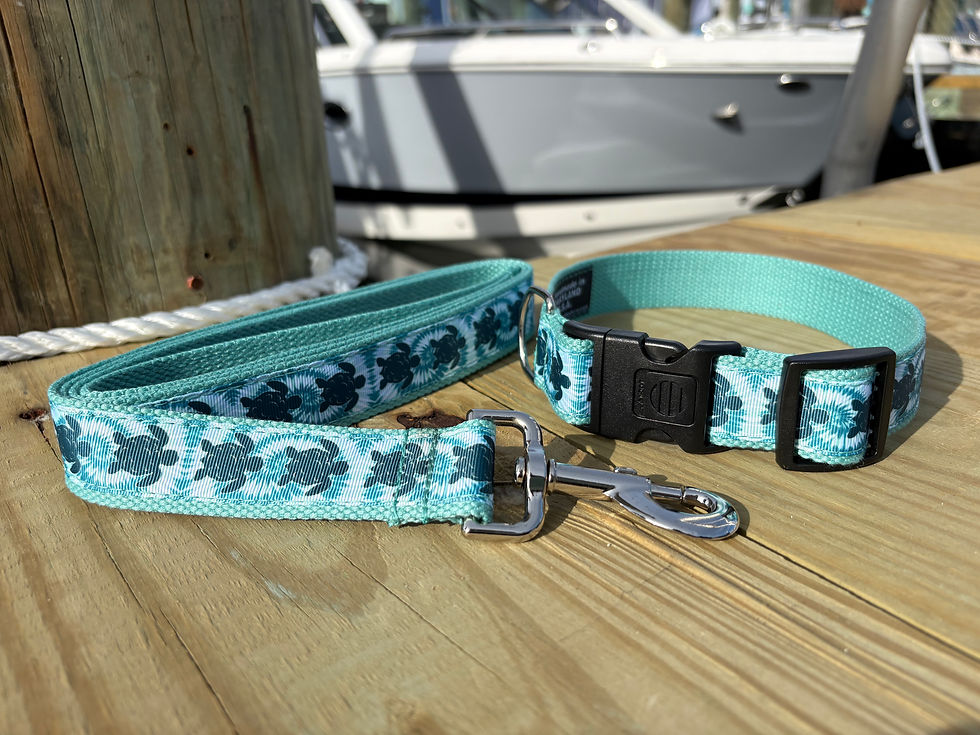 Thumbnail: 1 1/4 inch Tie-Dye Sea Turtles Dog Collar or Leash