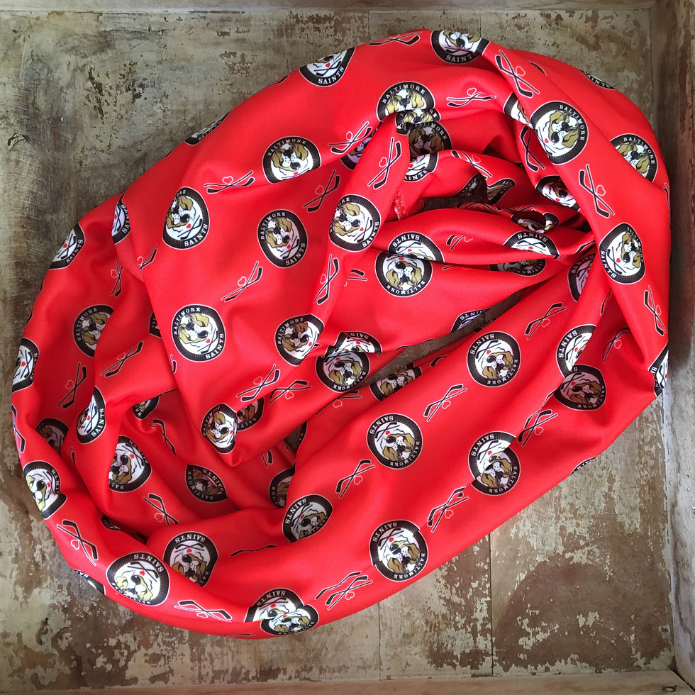 Thumbnail: Baltimore Saints Hockey Infinity Scarf