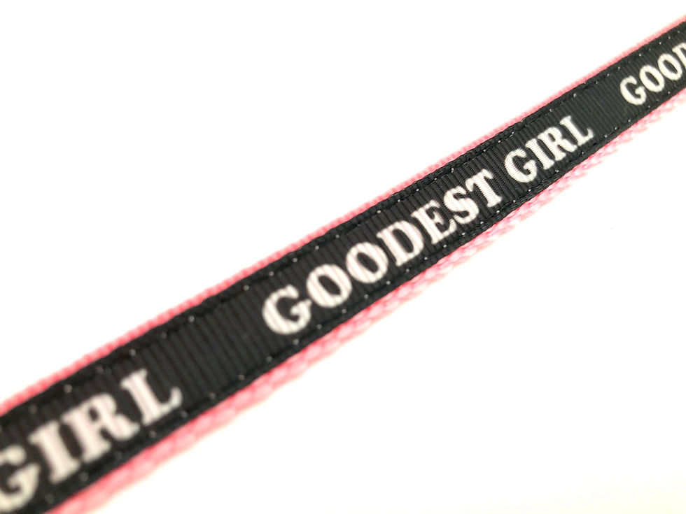 Thumbnail: Closeup- Cat collar with the words Goodest Girl on it with pink webbing and a bell
