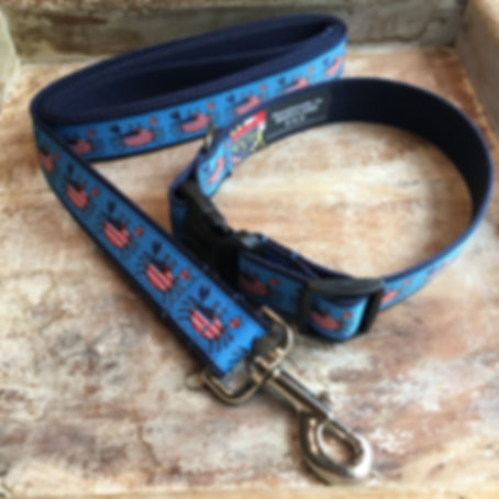 4th of july collar and leash