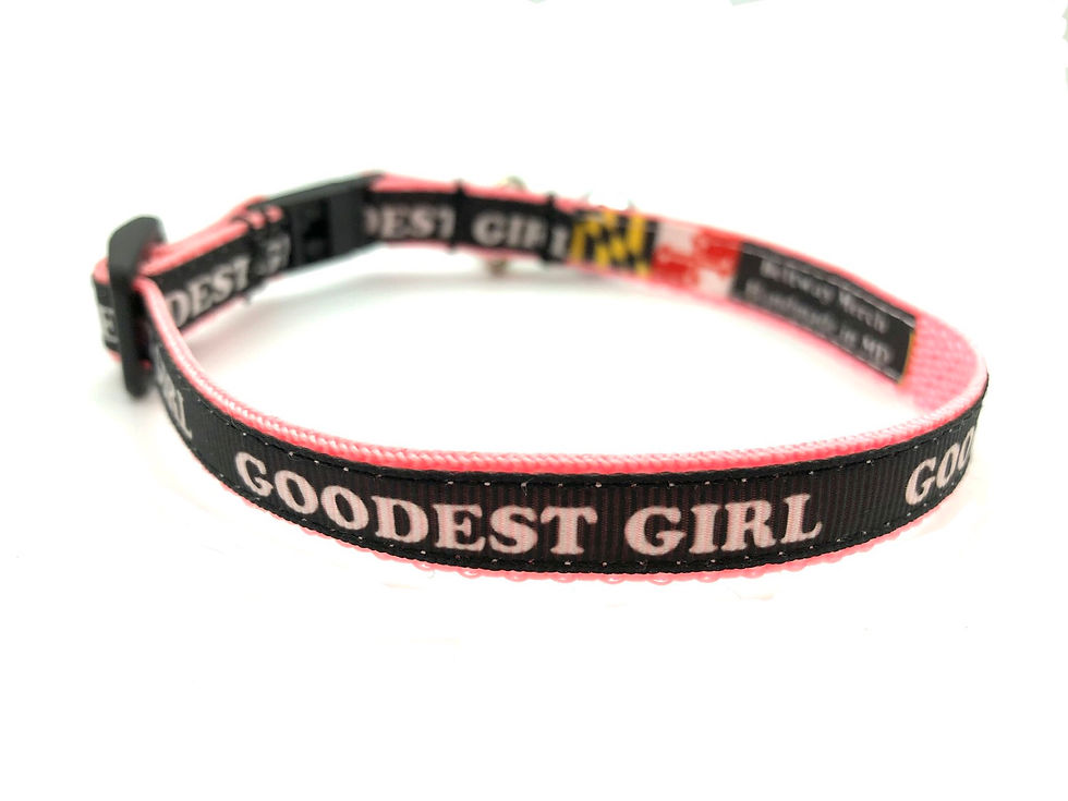 Thumbnail: Back view- Cat collar with the words Goodest Girl on it with pink webbing and a bell