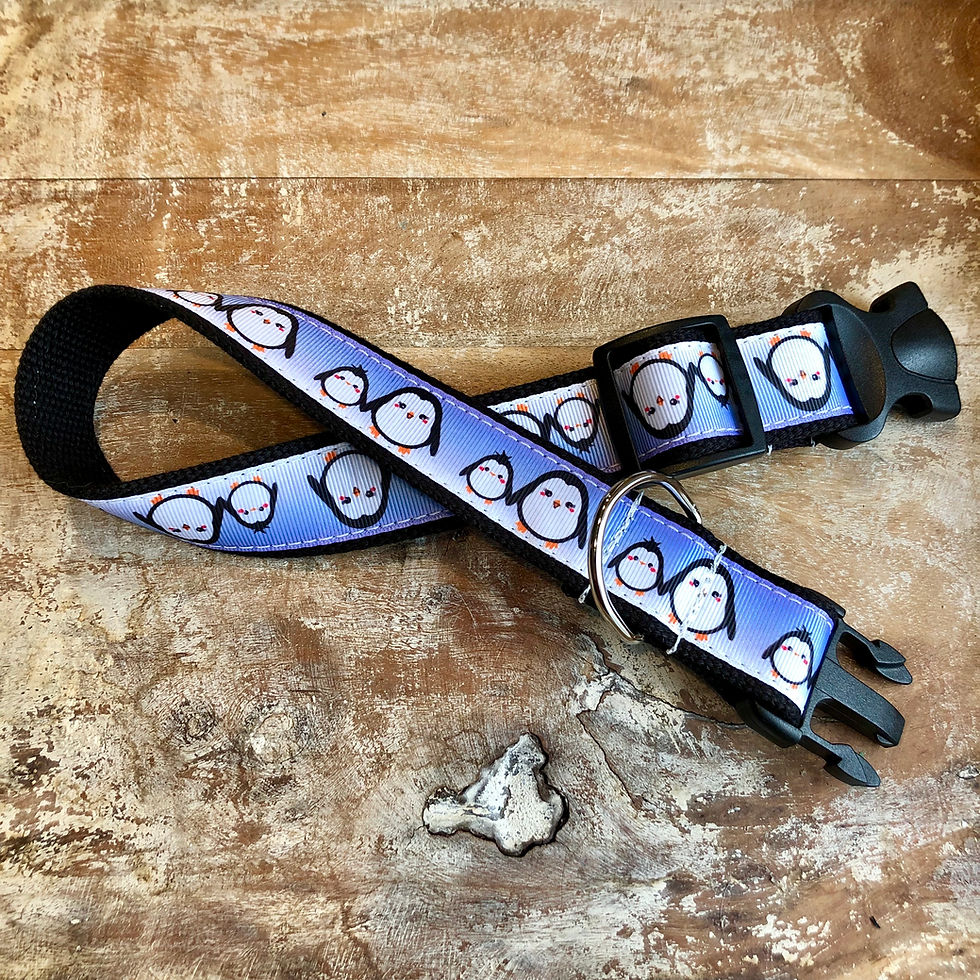 Thumbnail: 1 1/4 inch Little Penguins Collar or Leash