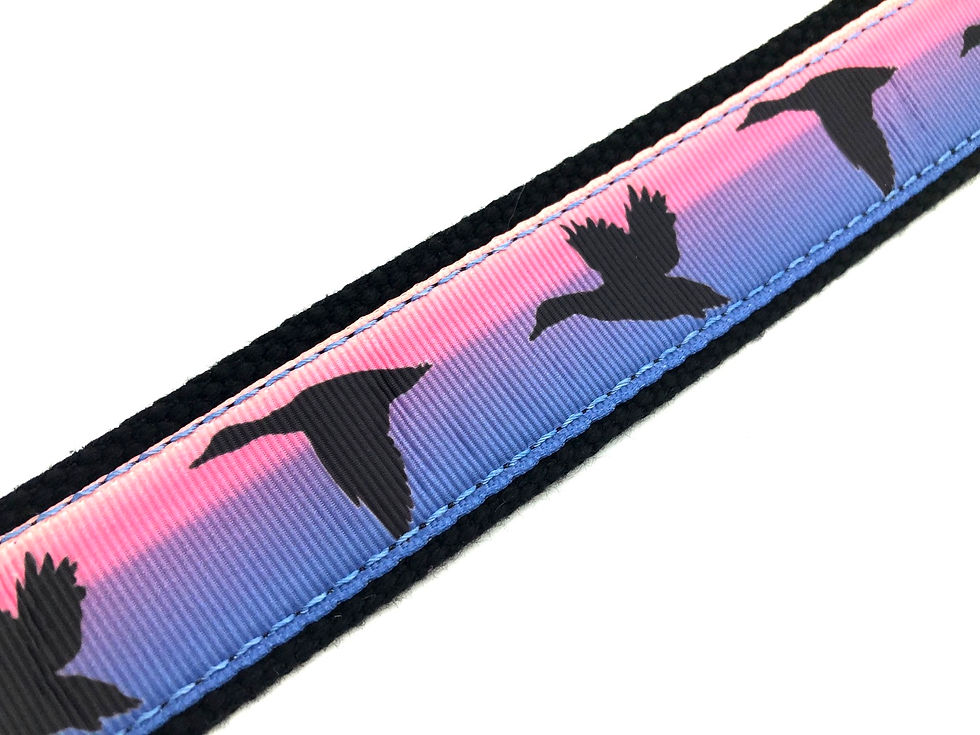Thumbnail: Pink Duck Sunset Belt