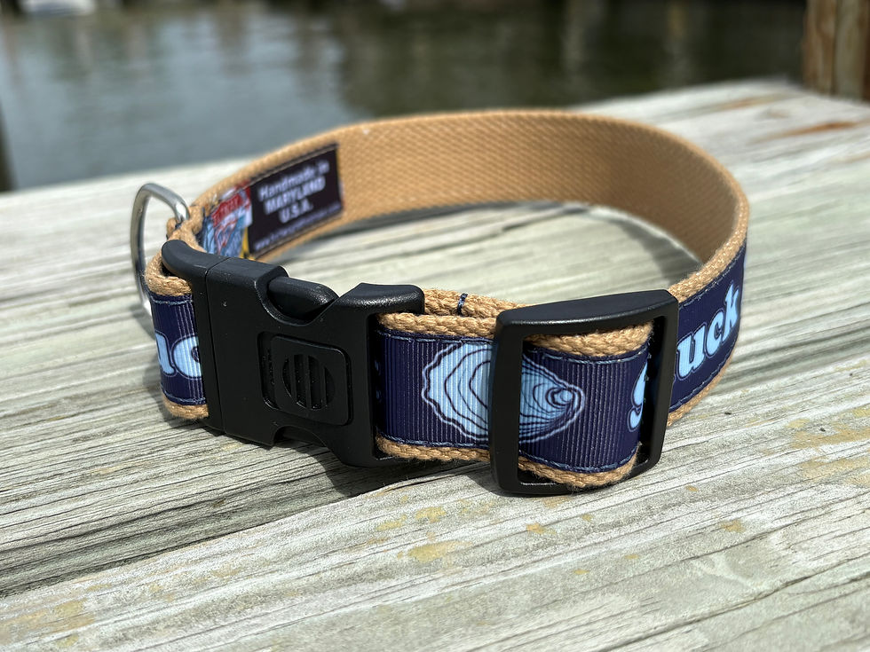 Thumbnail: 1 1/4 inch "Shuck It" Oyster Dog Collar or Leash