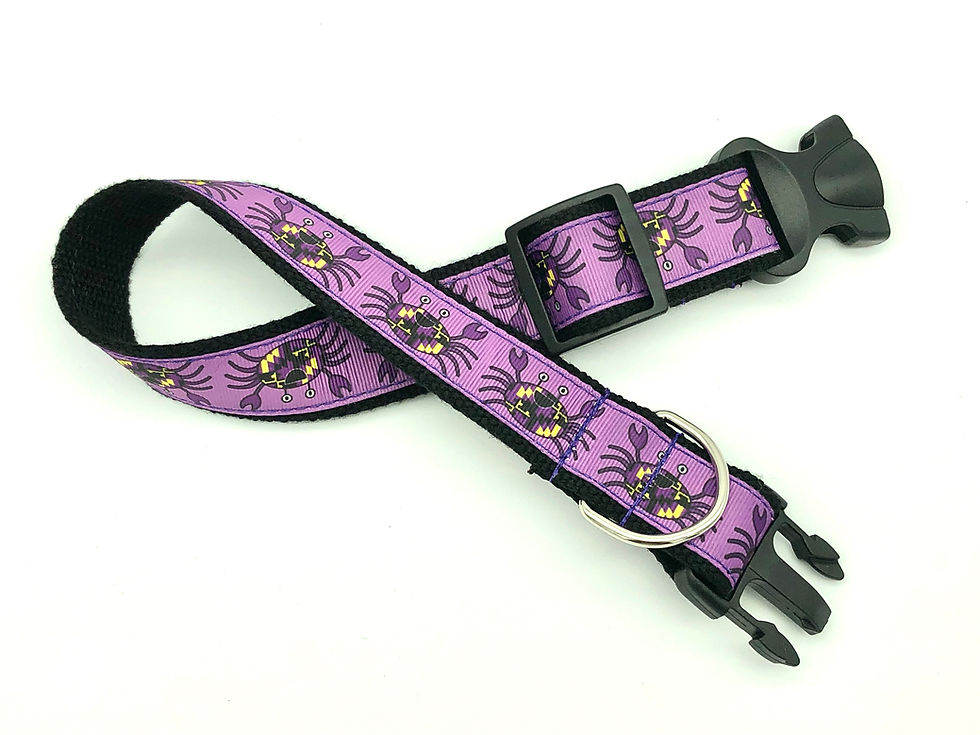 Baltimore Ravens Dog Collar