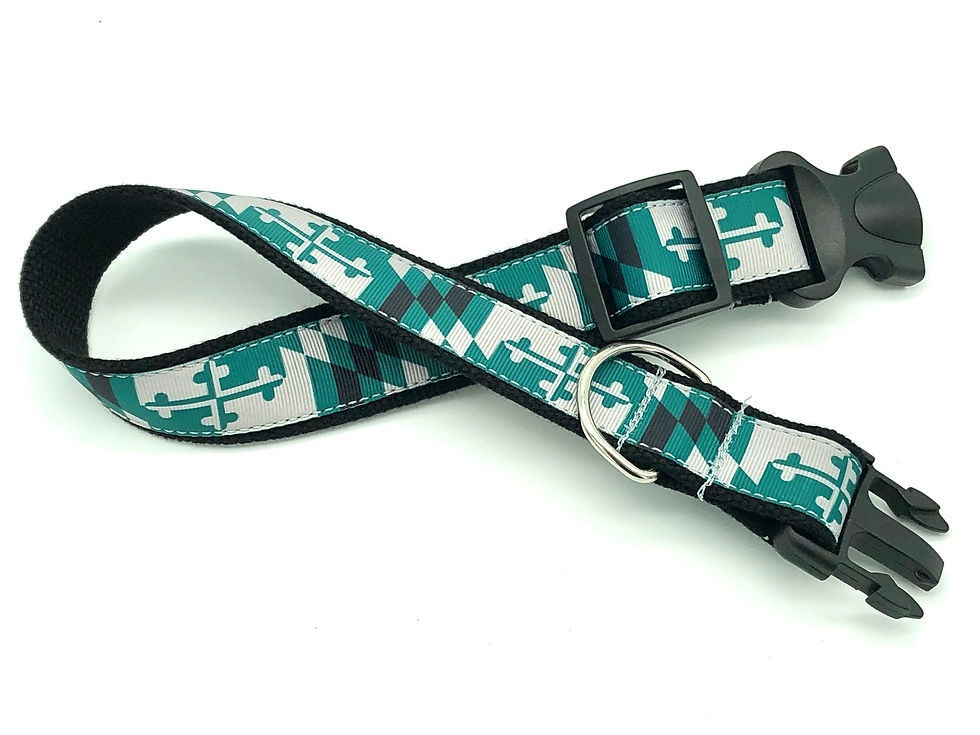 Loyola University Baltimore Maryland Flag Dog Collar