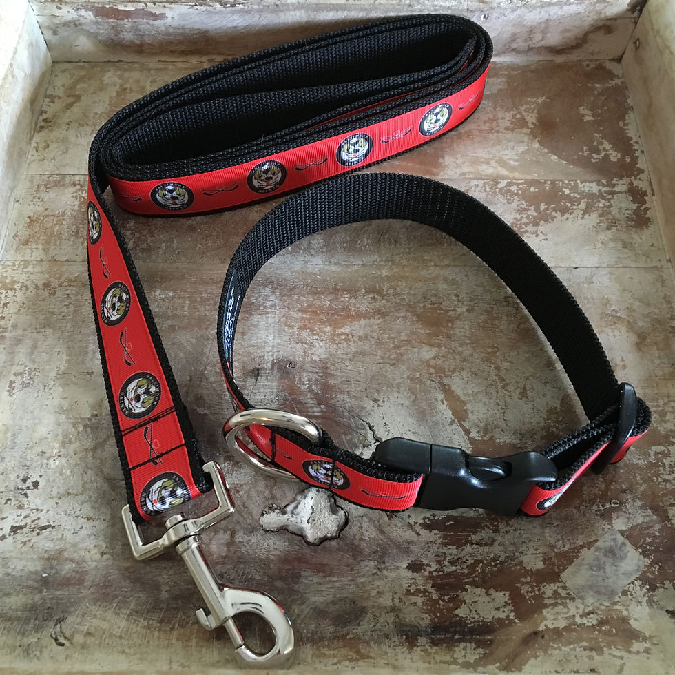 Thumbnail: Baltimore Saints Dog Leash (Black/ Red Ribbon Version)