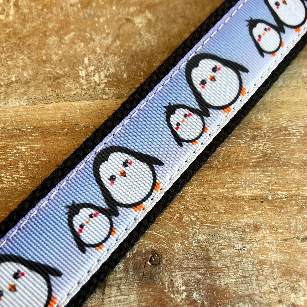 Thumbnail: 1 1/4 inch Little Penguins Collar or Leash