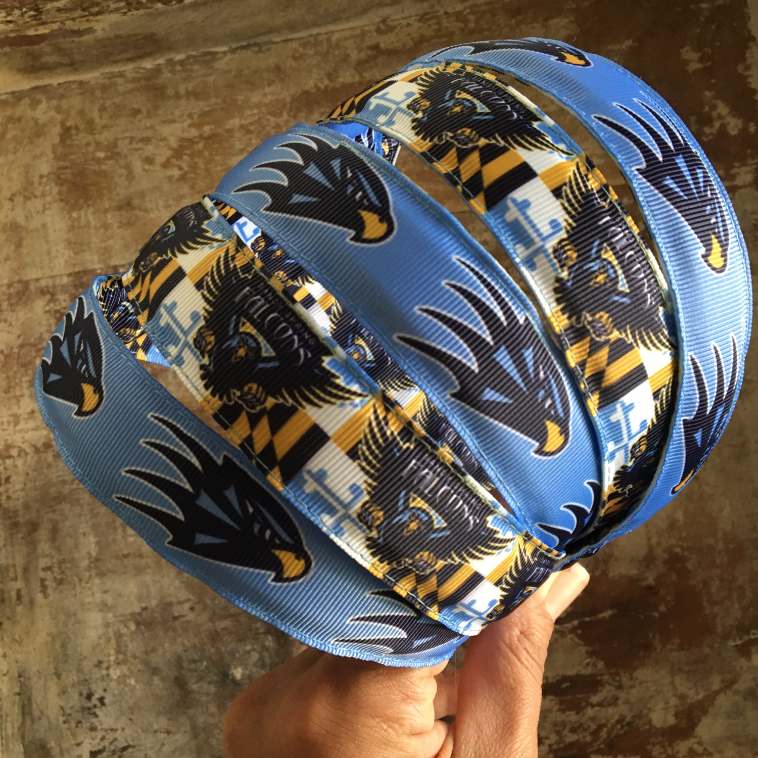 Sandy Spring Falcons Headband