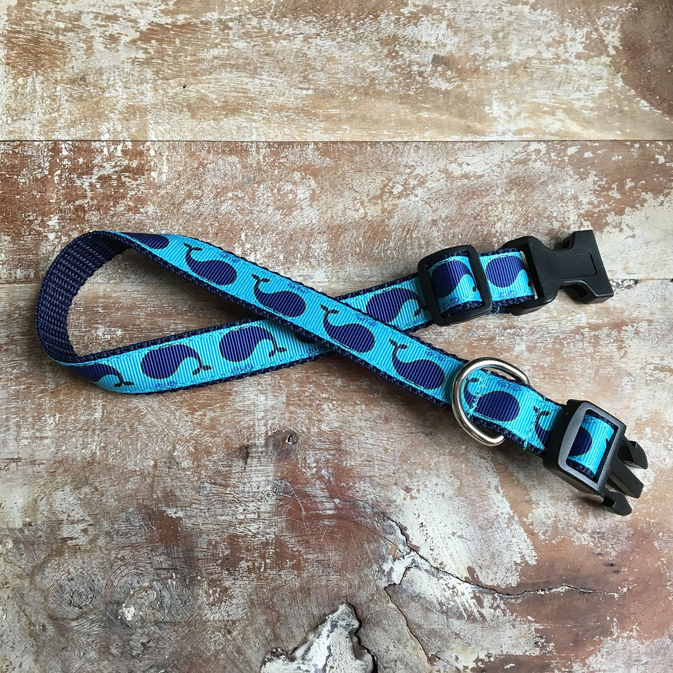 Thumbnail: 3/4 inch Blue Whale Dog Collar or Leash
