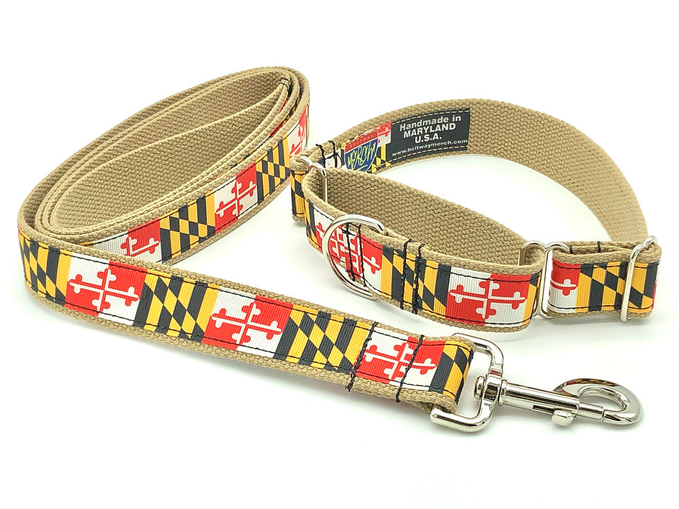 Thumbnail: Khaki Maryland Flag Martingale Dog Collar and leash