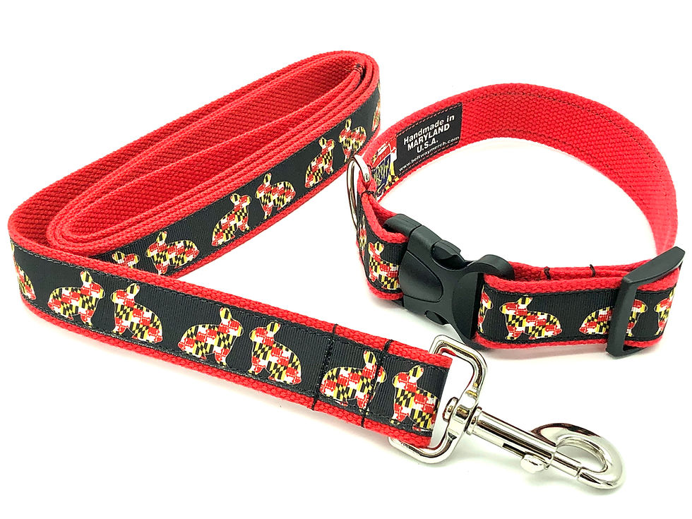 Thumbnail: 1 1/4 inch Maryland Flag Bunnies Dog Collar or Leash