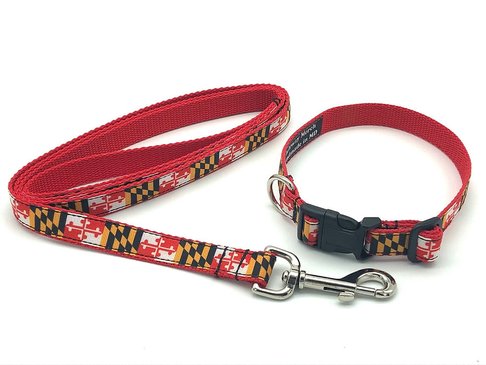 Thumbnail: 3/4 inch Traditional Maryland Flag Dog Collar or Leash