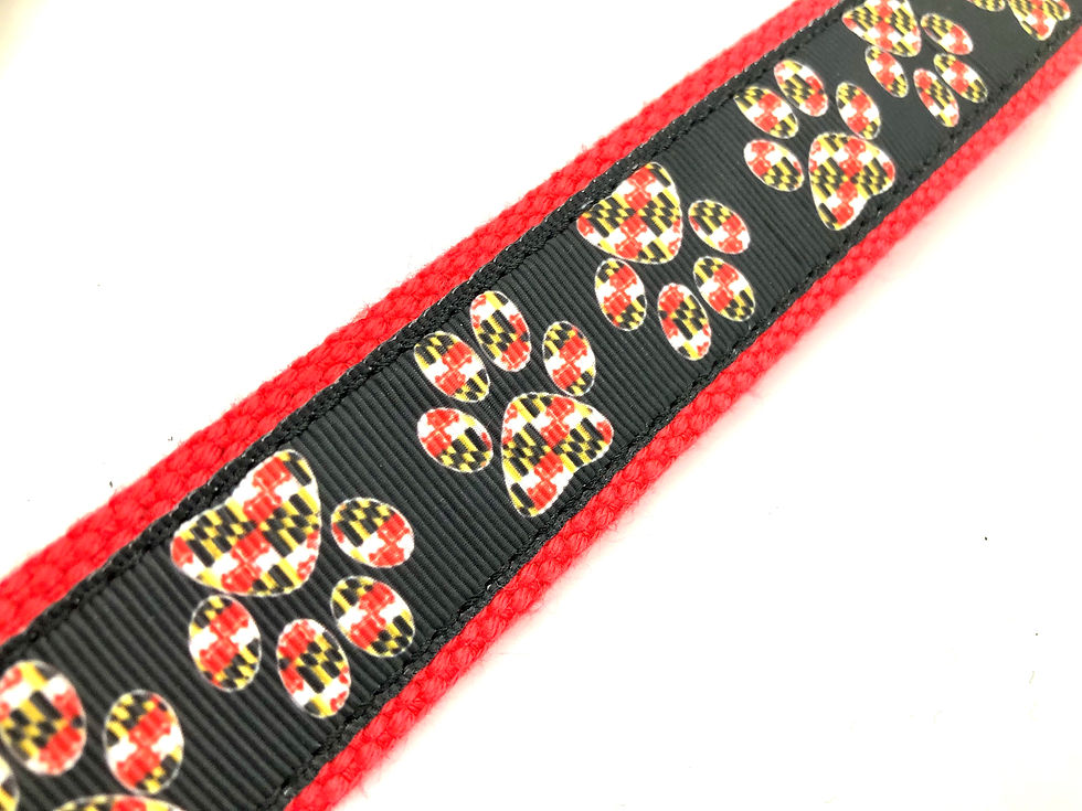 Thumbnail: maryland flag paw print dog design