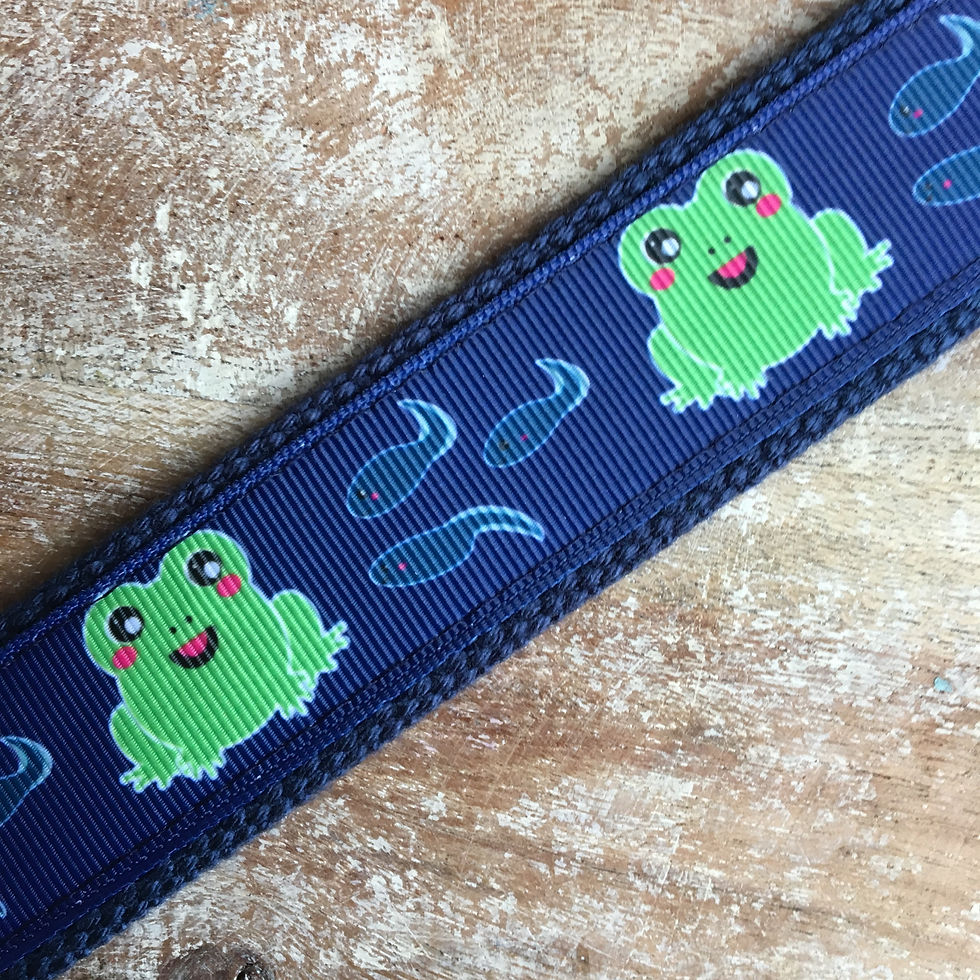 Thumbnail: Frog & Tadpoles Belt