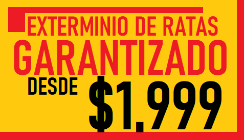 FUMIGACION DE RATAS PRECIO