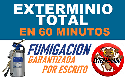fumigaciones de chinches en Ecatepec