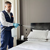 FUMIGACIONES EN CDMX CHINCHES DE CAMA 2025