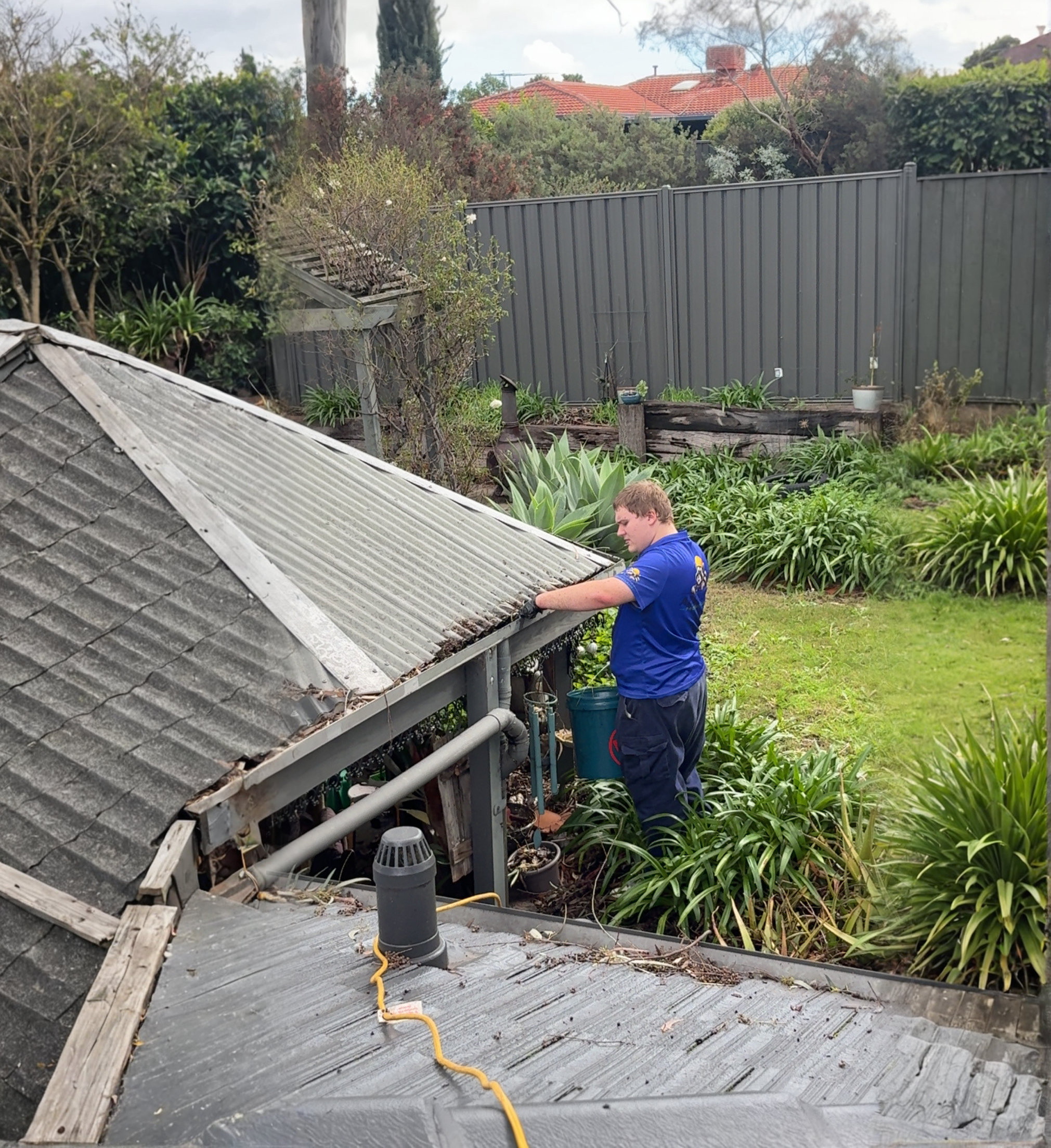 Absolute Property Care
