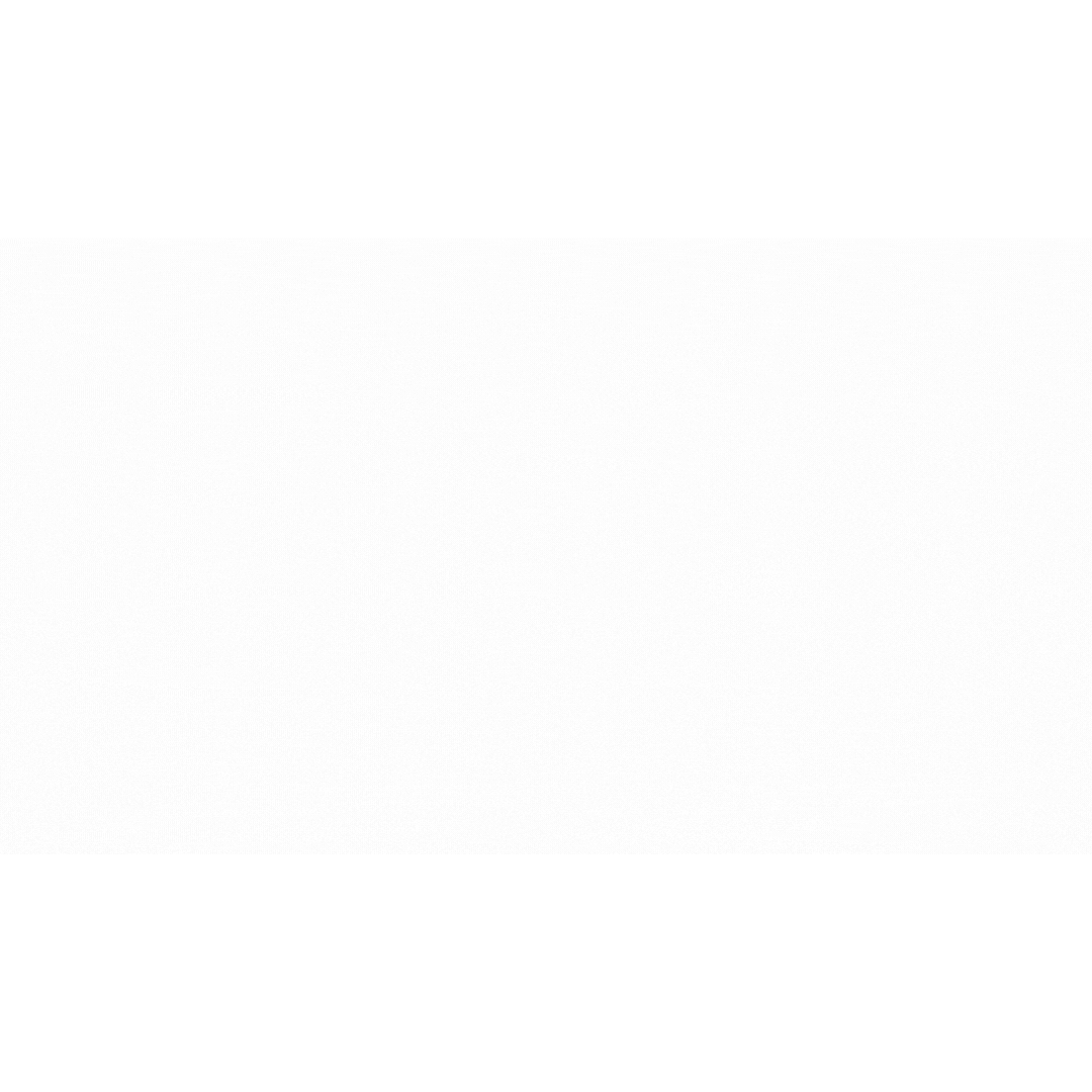 Cerebro Technologies Data page 1.gif