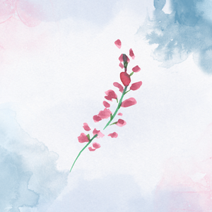 Review: "Laughter & Disaster" - Emily Anderson