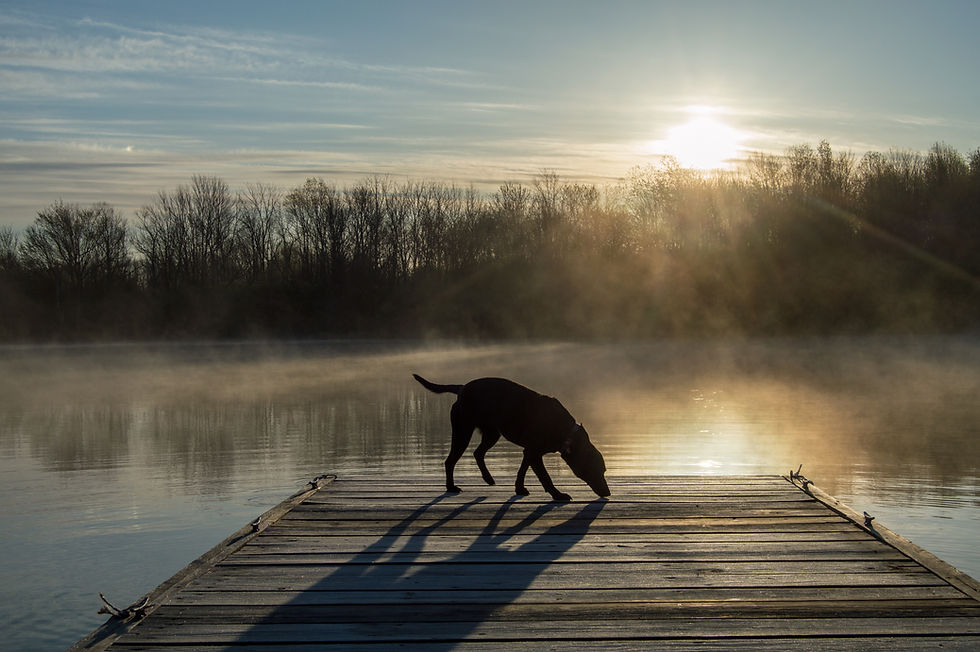 Summit Lake State Park
