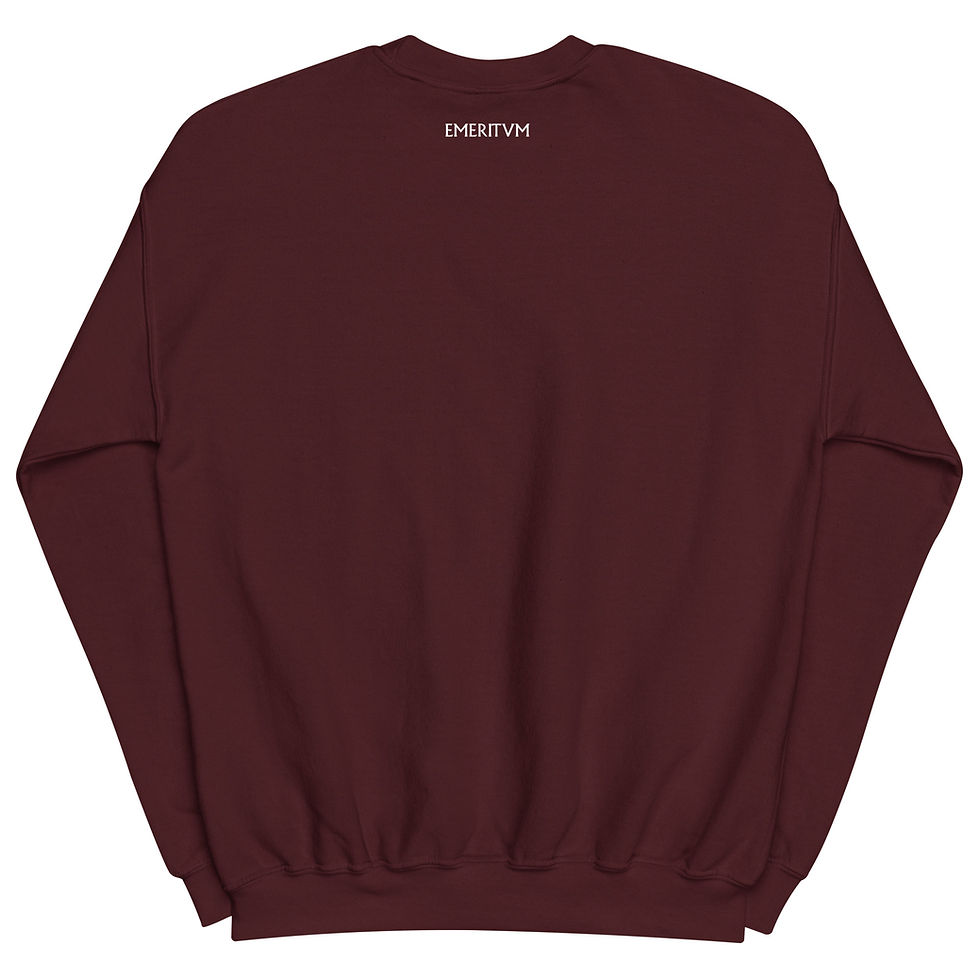 Miniatura: Sudadera Emeritvm Dark