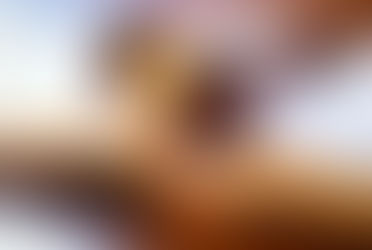 PREPARATORIOS DE FACULTADES DE DERECHO NO SON OBLIGATORIOS POR LEY, PERO ESTOS SE PUEDEN EXIGIR POR 