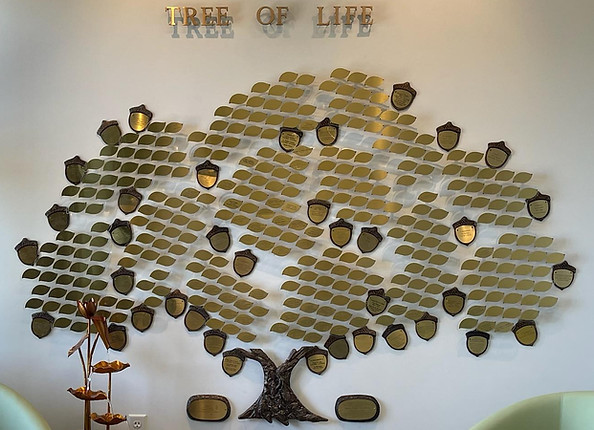 Tree of Life 2.jpg