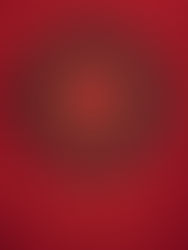 BOOKMAS| Коледна песен