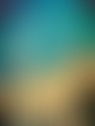 Книгите| Зовът на кукувицата