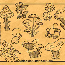 Flash by Kyle Messina