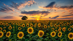 Explore trusted forage, pasture, cover crop and grain solutions from Capstone Seeds.