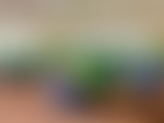 Atenção Primária de Lagoa Grande é fortalecida com a formatura dos Técnicos em Agentes de Saúde e Combate às Endemias